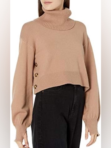 Cozy Turtleneck Cropped Sweater In Camel
